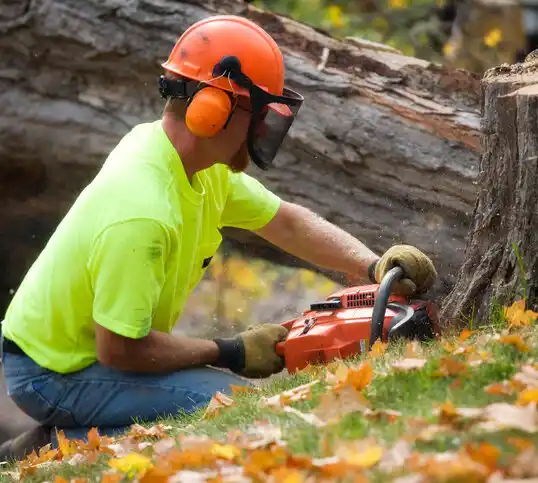 tree services North Sea